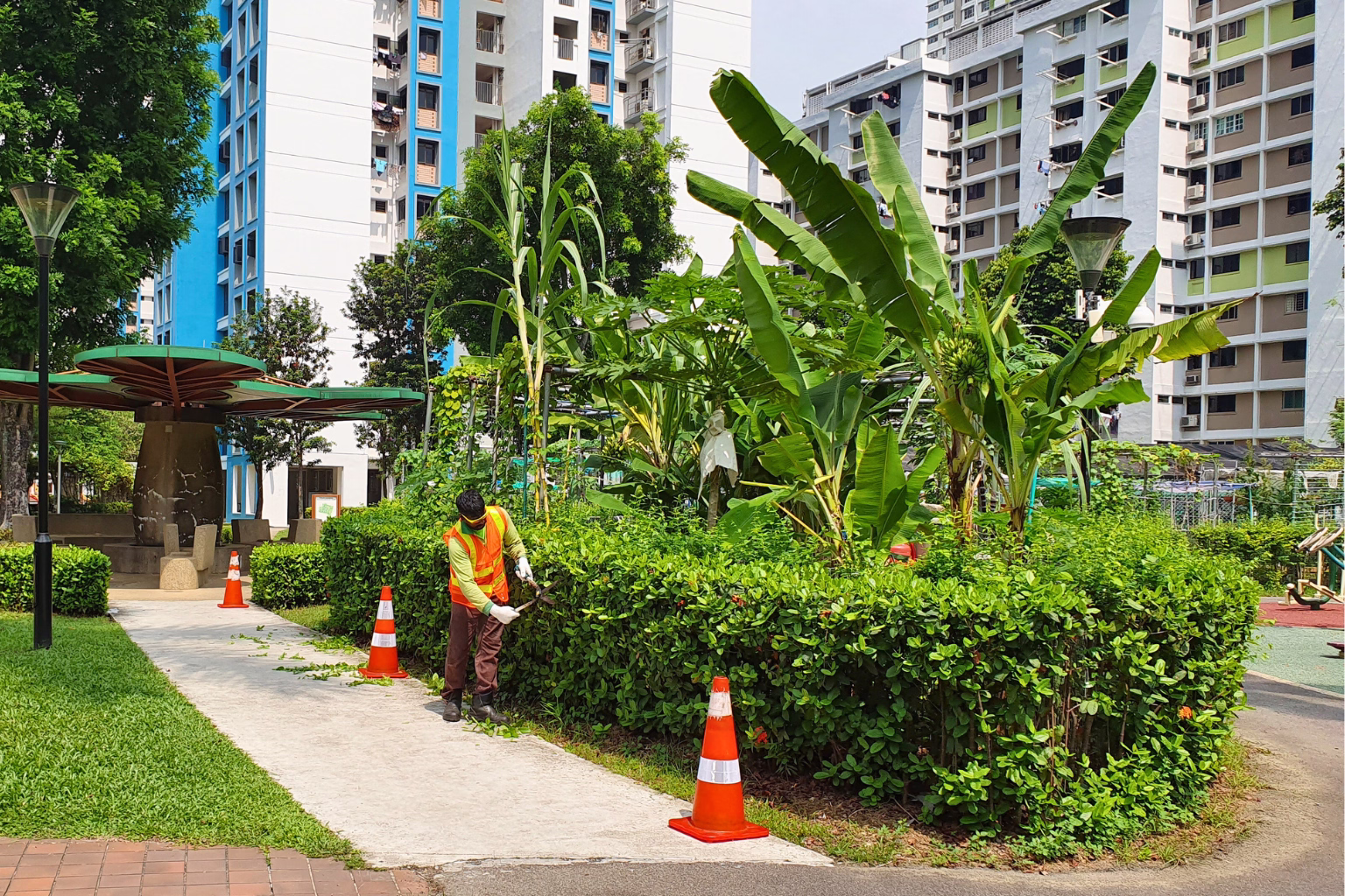 Landscape-and-Horticulture-Maintenance